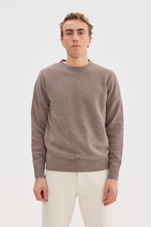 Man wearing a brown sweater on a white background